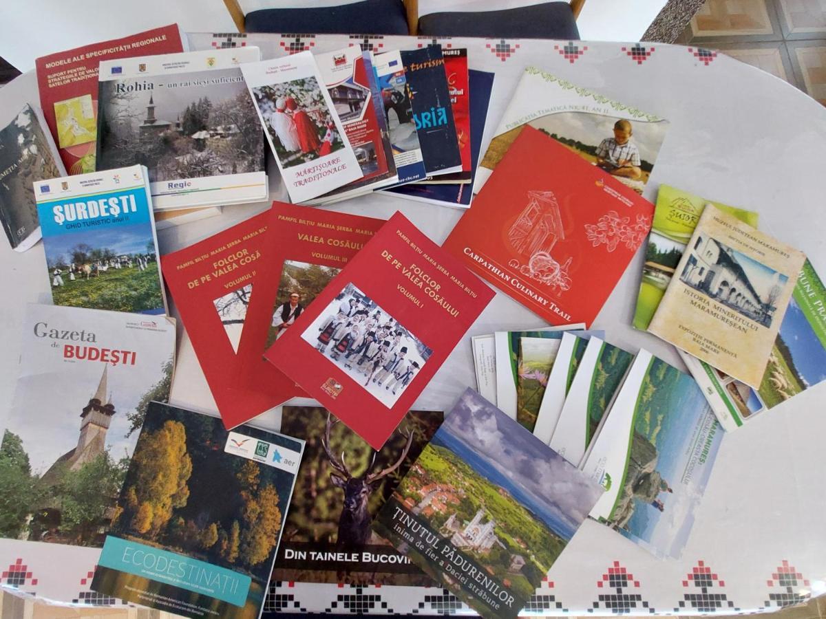 Pensiune Agroturistica "Casa Teodora" Budeşti Zewnętrze zdjęcie