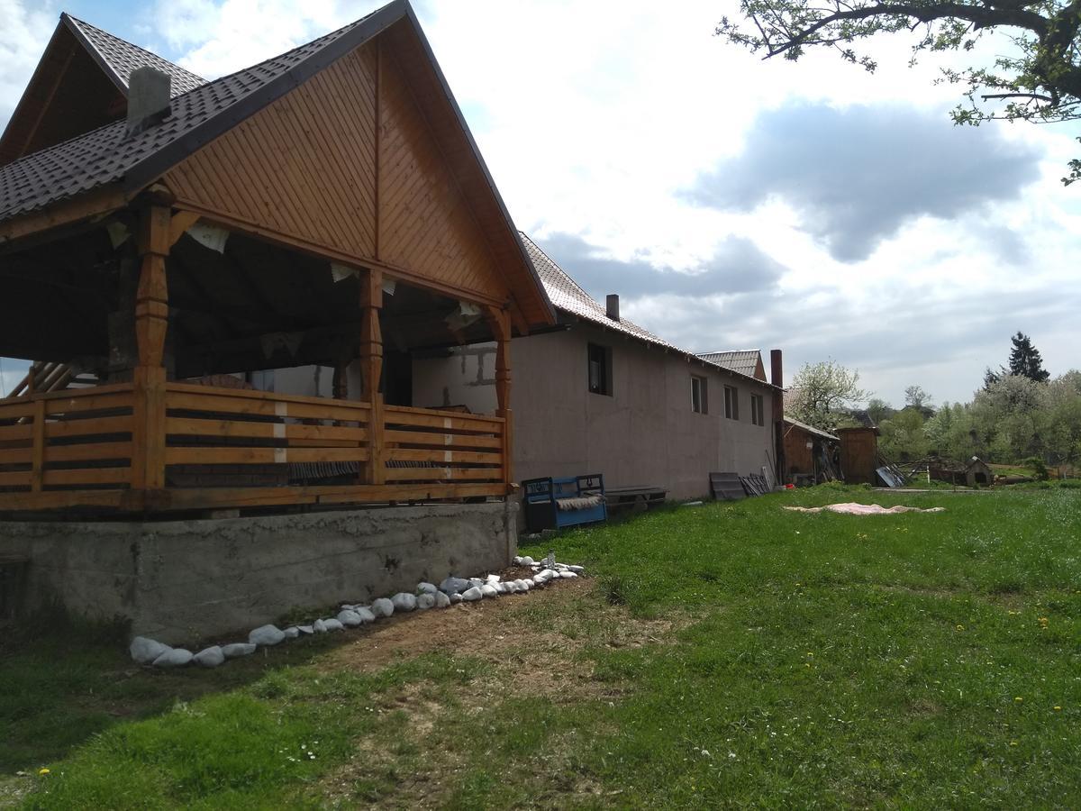 Pensiune Agroturistica "Casa Teodora" Budeşti Zewnętrze zdjęcie