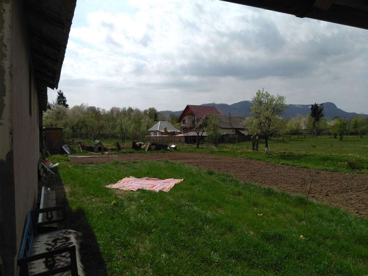 Pensiune Agroturistica "Casa Teodora" Budeşti Zewnętrze zdjęcie