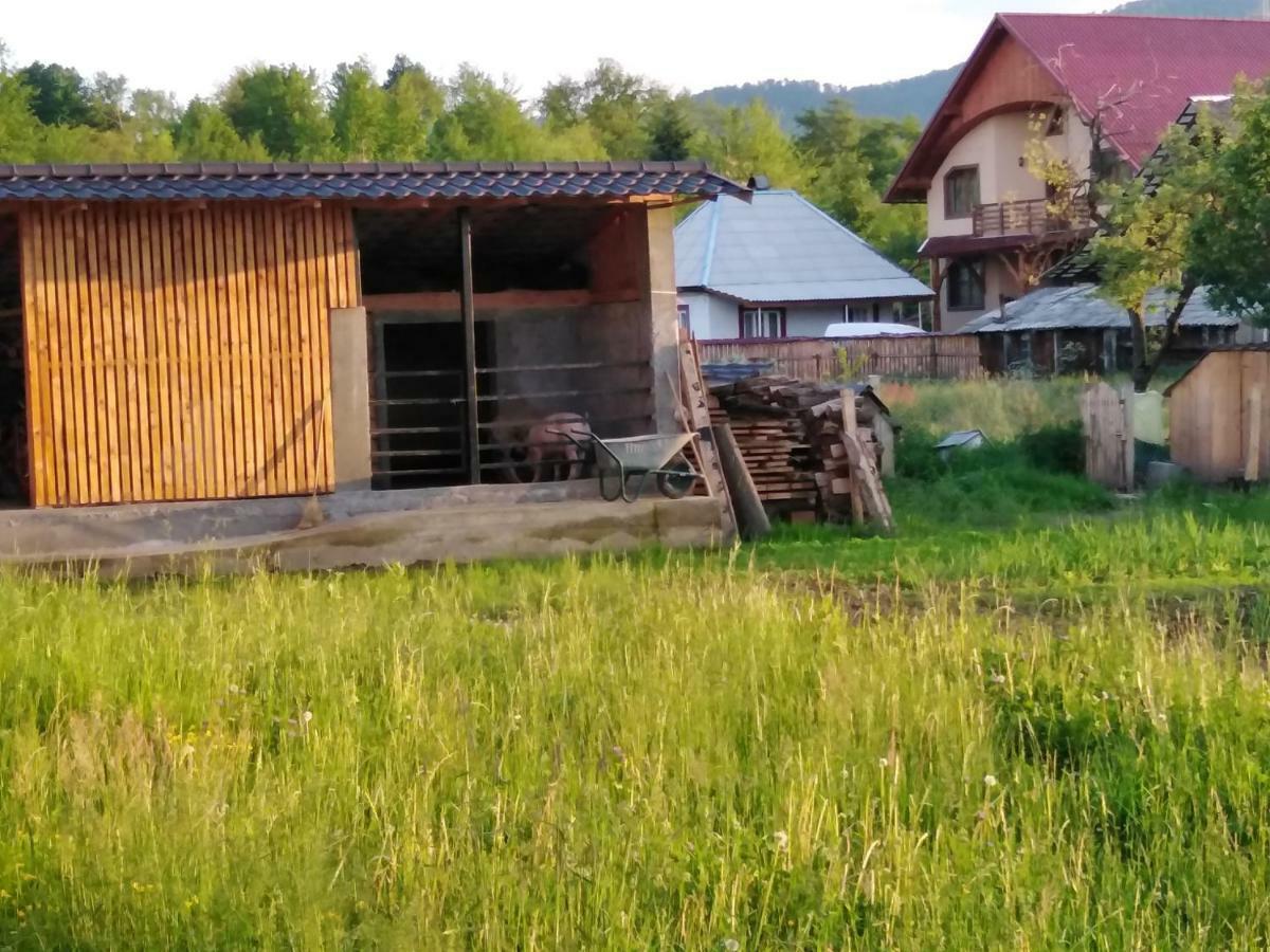 Pensiune Agroturistica "Casa Teodora" Budeşti Zewnętrze zdjęcie
